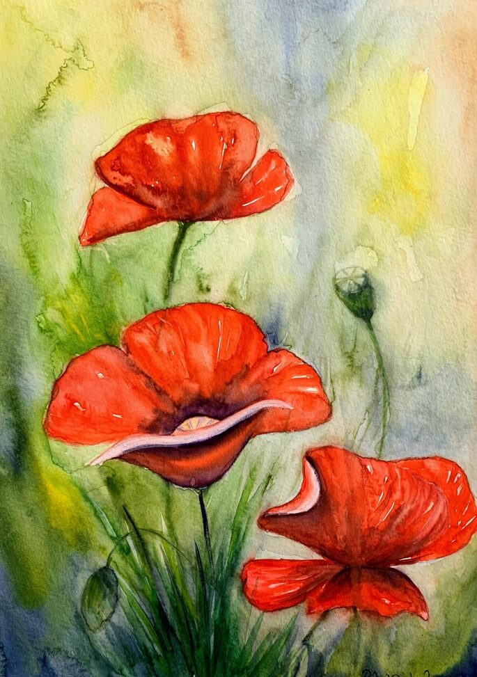 Tablou Maci Red poppies