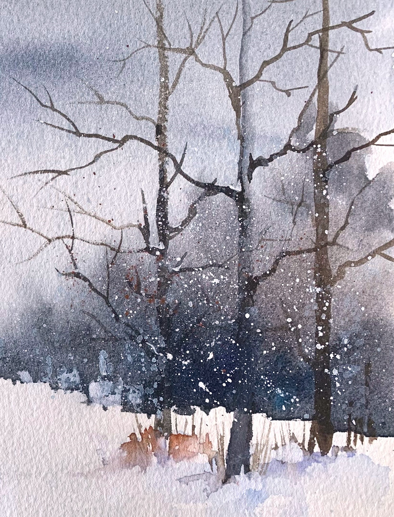 Tablouri dormitor snowy