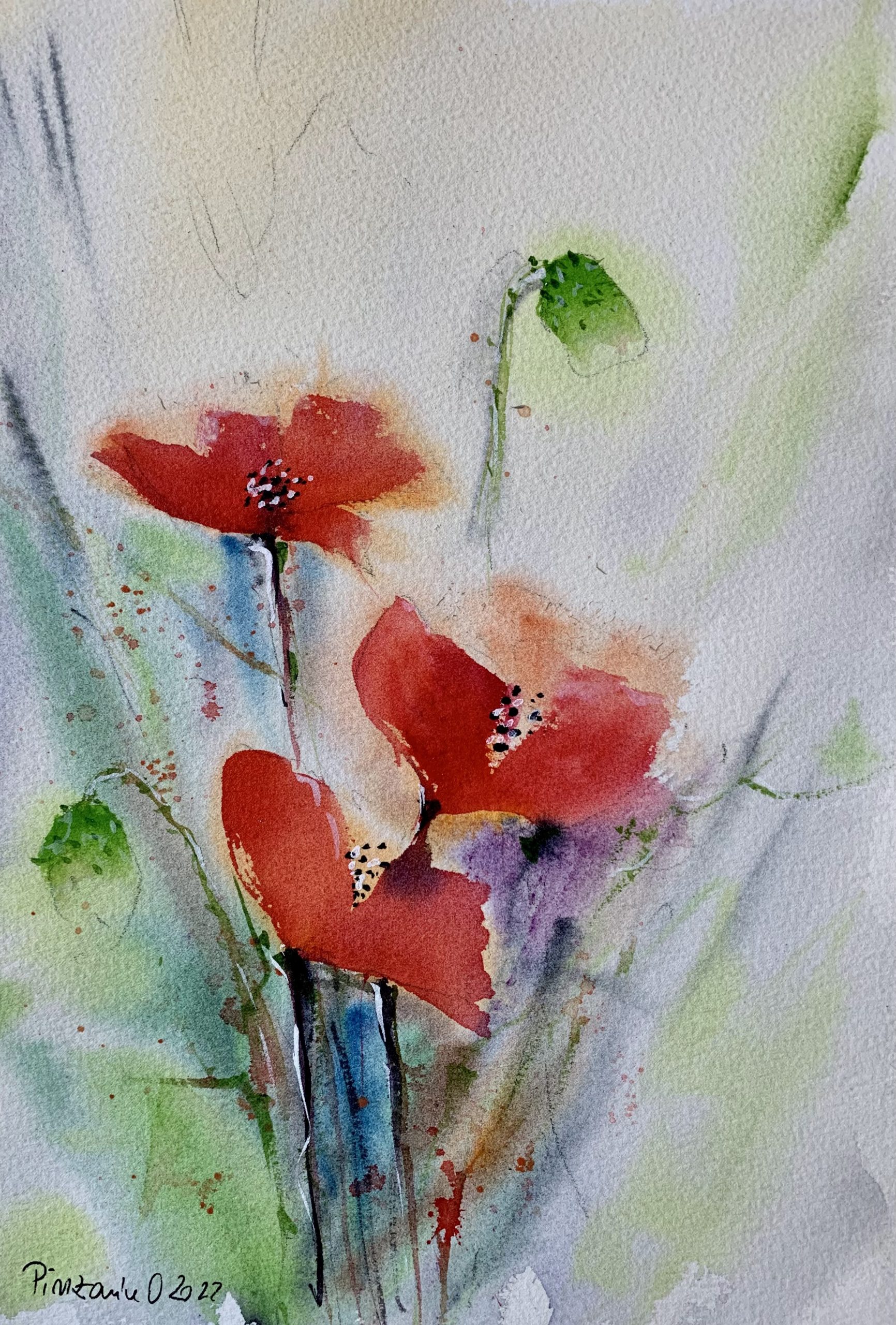 Tablou Flori de maci