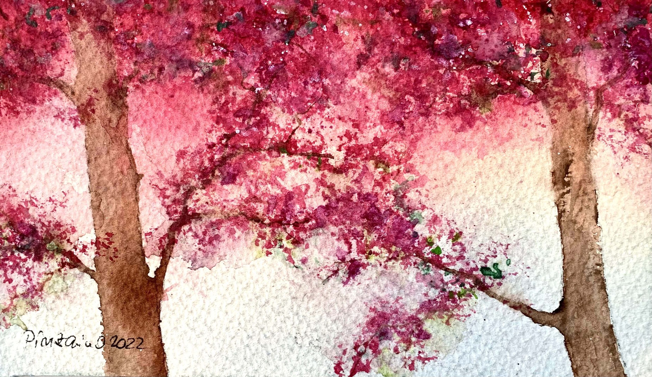 Tablouri personalizate Explozie de culoare