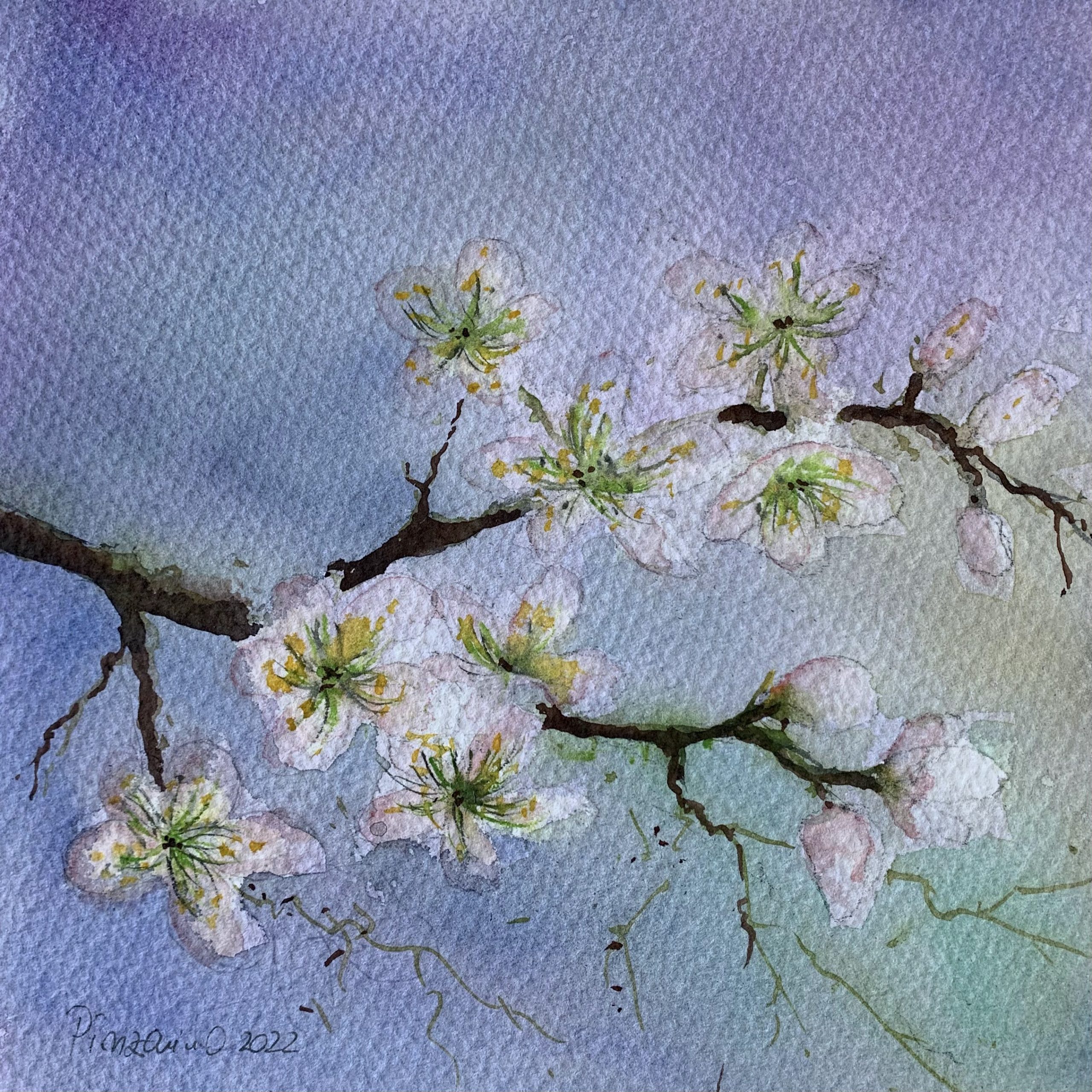 Tablou Flori de caisi